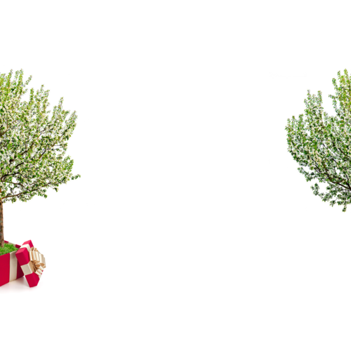 Фото товара  - вид 1