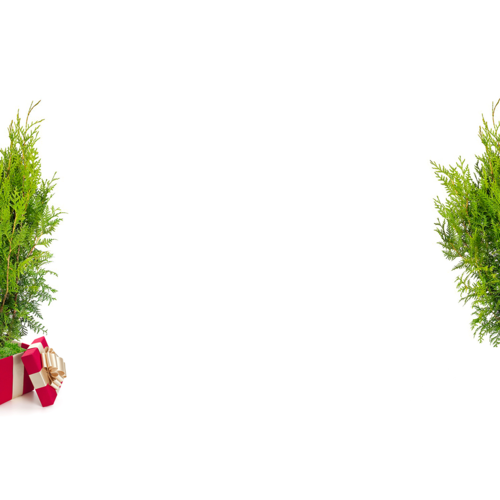 Фото товара  - вид 1